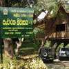 Several wildlife tourism bungalows closed due to adverse weather