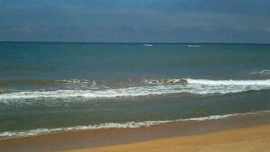 Male body washed ashore at Ratmalana Beach