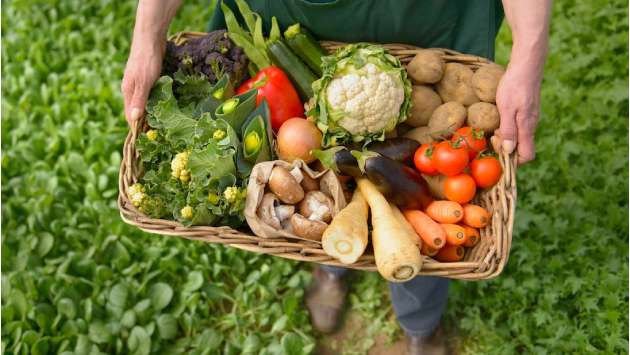EU’s sustainability laws drive Sri Lanka to revives organic farming