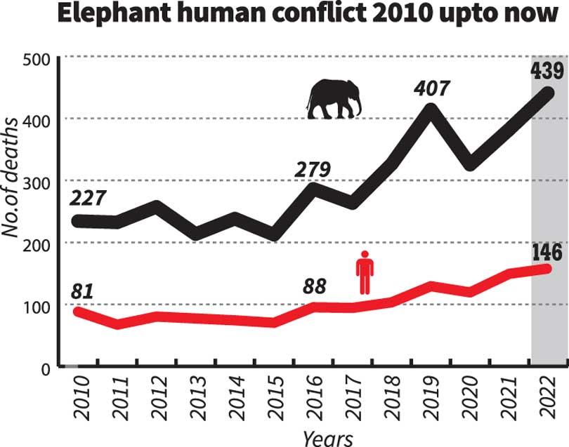 Toll of Human-elephant conflict on the rise - Front Page | Daily Mirror