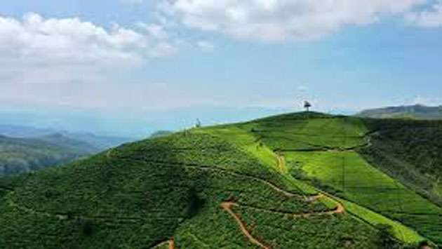Nuwara Eliya ranks 2nd among Asia’s must-visit hill stations