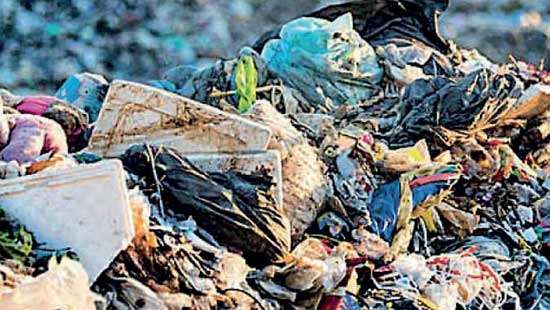 Garbage at Armour Street Flat