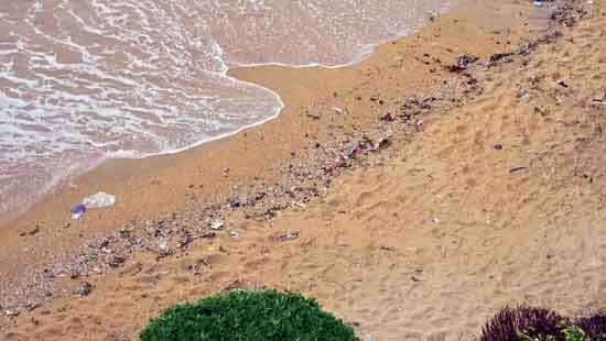 Urban waste management: Authorities face challenges in keeping Colombo’s waterways clean