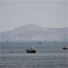 Oil down 2% after US, Iran sign ceasefire agreement