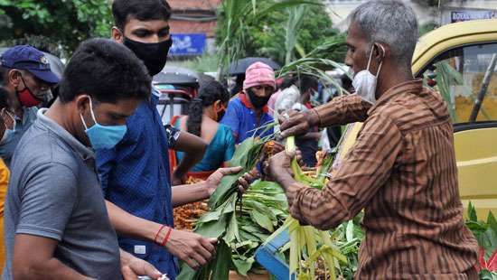 Preparing for Thai Pongal