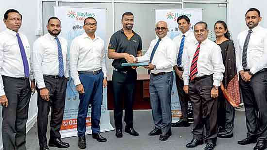 Hayleys Solar-Mercantile Investments enhance solar energy accessibility