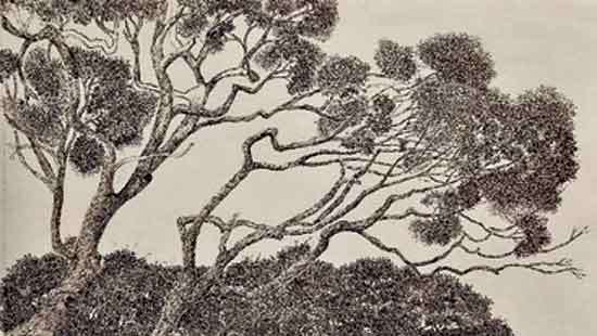 Echoes of Galle and Nature