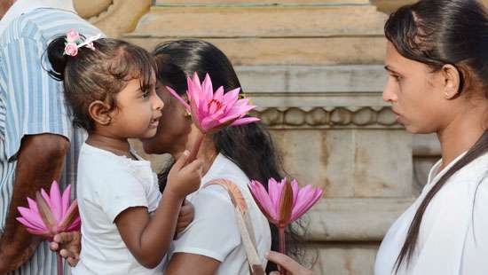 Observing Duruthu Poya