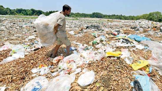 How climate change impacts Sri Lanka’s dengue disease burden