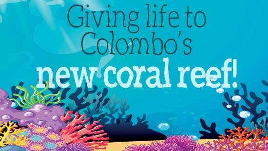 Giving life to Colombo’s new coral reef