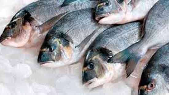 Levy on imported fish upped to Rs 150 per kilo