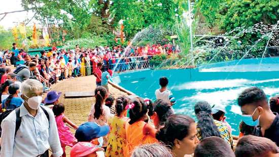 Income of the Dehiwala Zoo on the rise