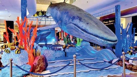 CCC unveils hyper-realistic whale installation