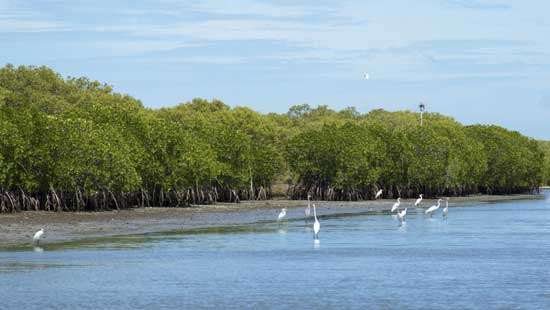 The attempt to De-gazette  Wedithalathive Nature Reserve