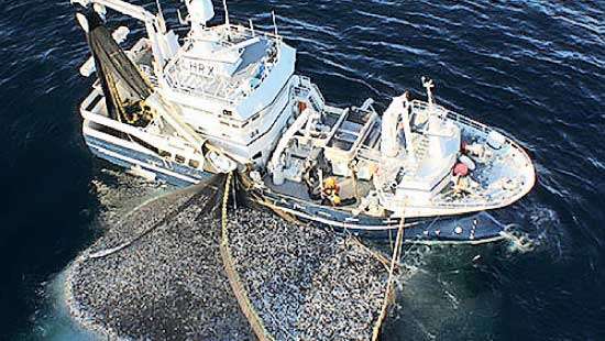 Concerns over destructive fishing methods