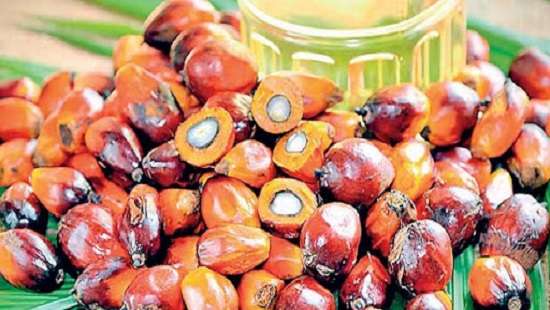 Customs, banks instructed not to facilitate palm oil imports