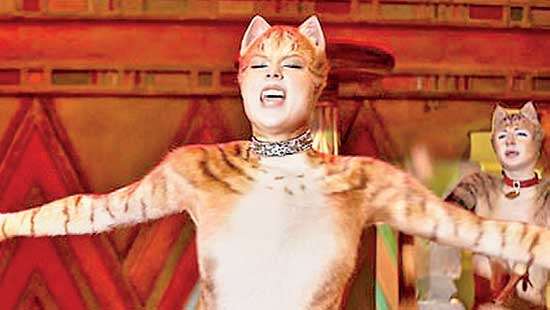 Cats could lose $100m for Universal