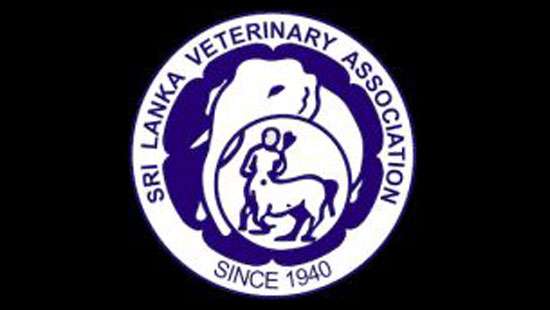 Vets threaten token strike on 27 over Cabinet Paper