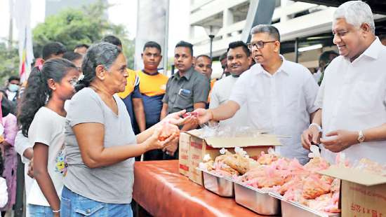 Suhurupaya Vesak zone organized by the Ministry of Public Security