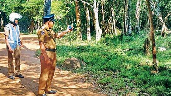 Tourist hit by wild elephant