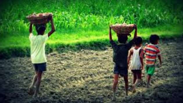 National steering committee for the elimination of child labour meets