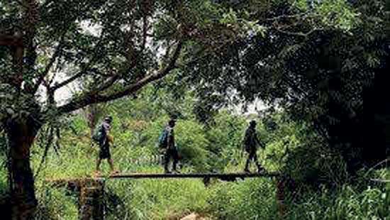 Sri Lanka’s tourism income hits US$768 mn in first two months of 2025