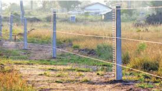 Electric fence and trapping of elephants have failed: COPA report