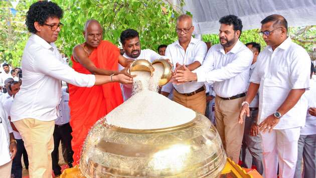National new rice festival held
