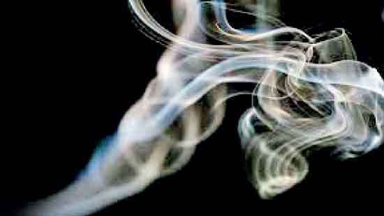 Ceylon Tobacco 1Q25 revenue hit by illicit cigarette trade