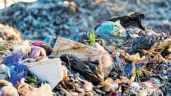 Garbage crisis at Armour Street flats and CMC’s inaction