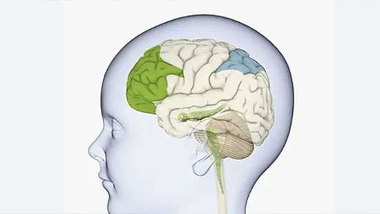 Children’s brain development ability blunted due to teaching methods