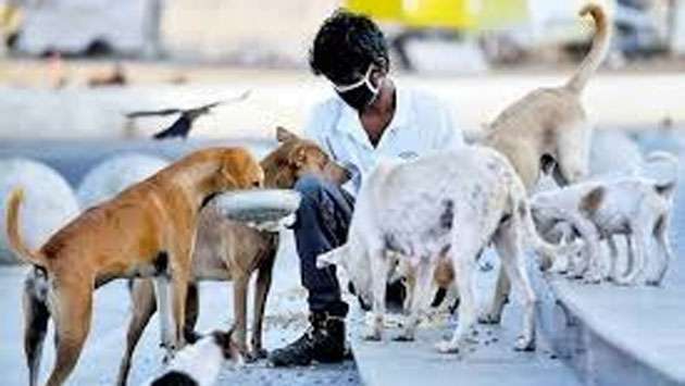 AWC urges Vietnamese monk to fast-track delayed animal welfare act
