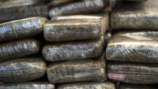 Rs. 42 million worth hashish found in container