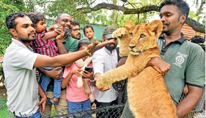 Born Free but until when?