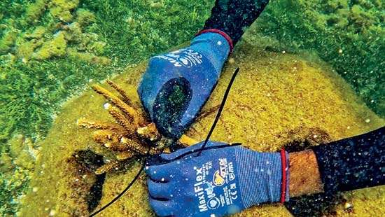 ATG TAKES THE LEAD IN COASTAL CONSERVATION AND MARINE ECOSYSTEM PROTECTION!