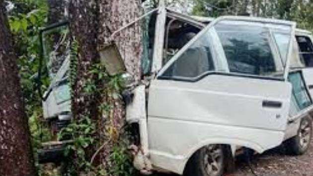 Van crash injures 14 schoolchildren