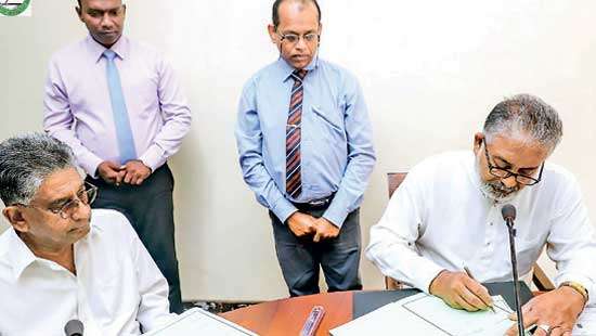 Rockland infuses life back  into toddy tapping industry