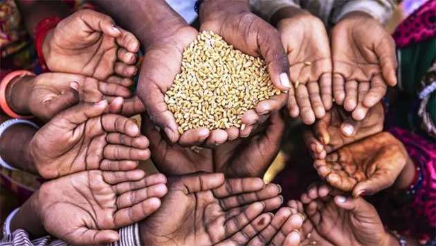 India’s growing self-reliance in food security