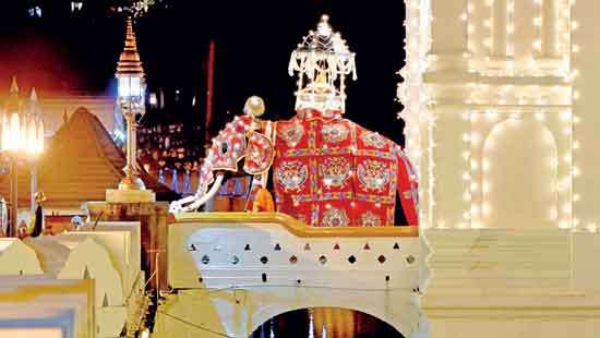 Tusker Wasana at the Final Randoli Perahera