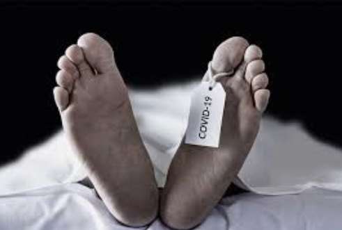 22 more die of COVID-19: Death toll increases to 786