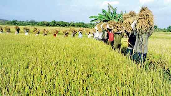 Derisking food security by thinking intelligently