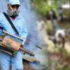 Special dengue prevention operation in Western Province from tomorrow