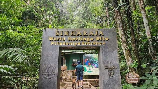 Environment Ministry denies approving road construction through Sinharaja Forest