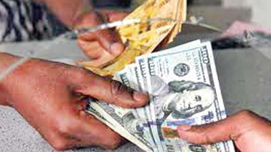 Rupee appreciates as CB takes breather from dollar purchases