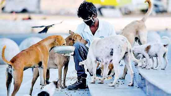 ACAP Sri Lanka champions national mission to eliminate rabies by 2030