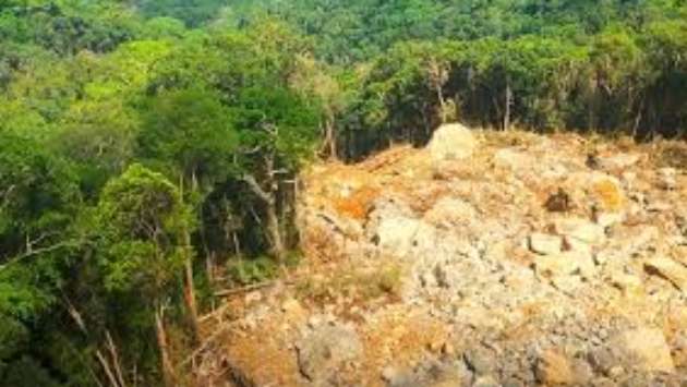 34% of Central Highland forests damaged due to Cyclone Ditwah: Minister