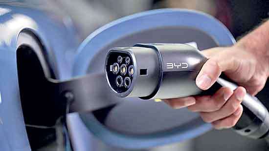 Court directs Customs to expedite vehicle  scanning process