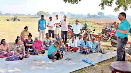 Six thousand paddy farmers to be trained on sustainable cultivation with FAO, EU support