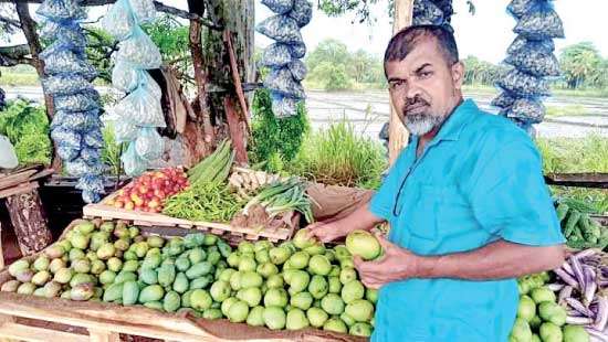 Lime prices up but cultivators incur losses