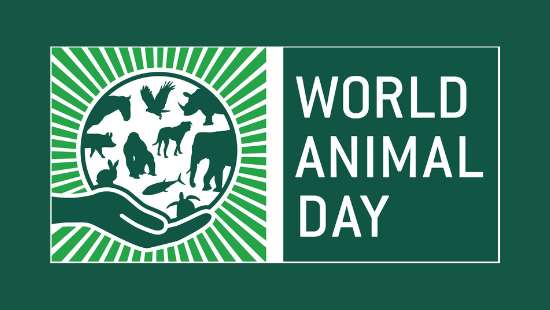 Celebrating World Animal Day